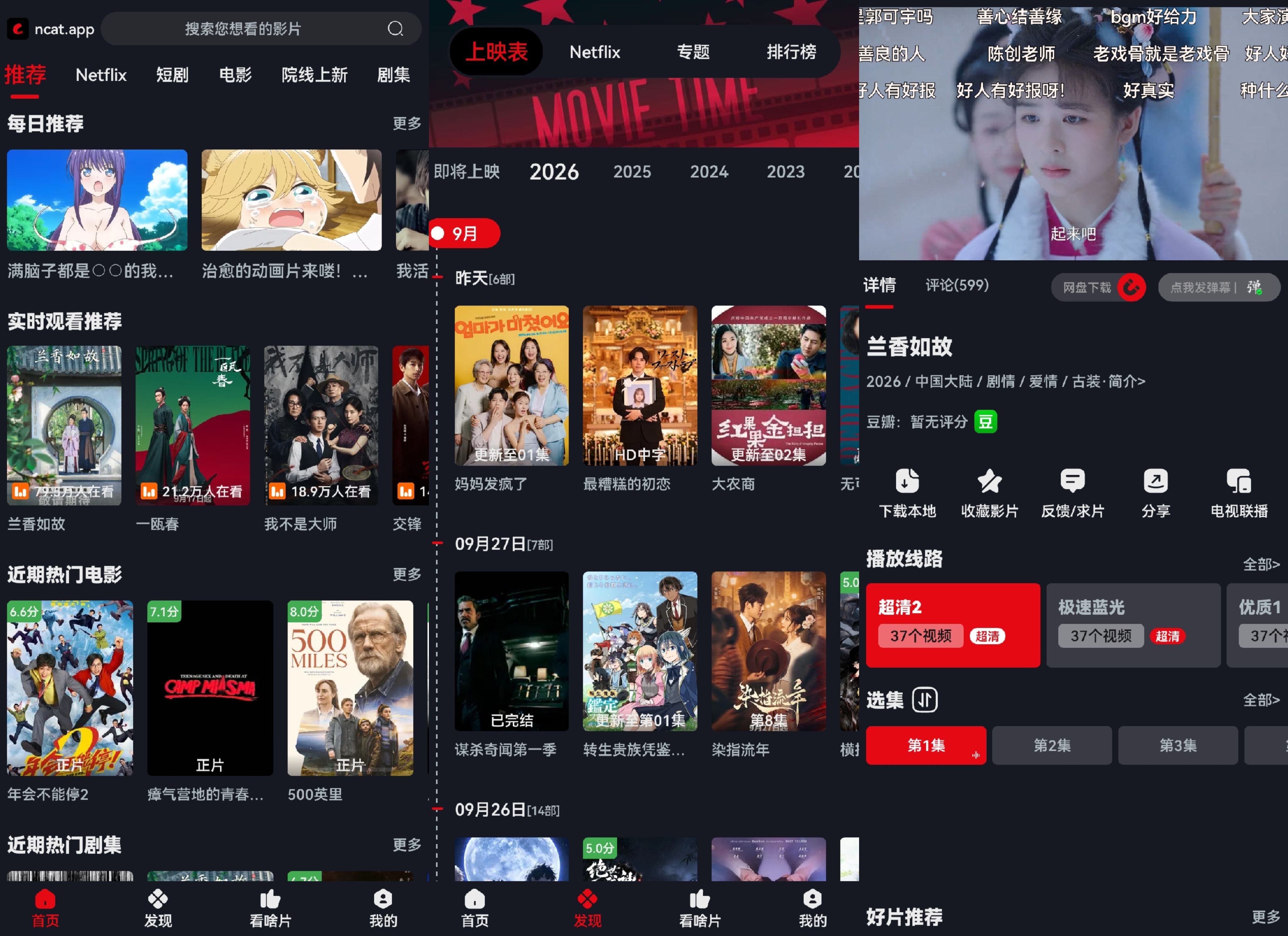 预览图